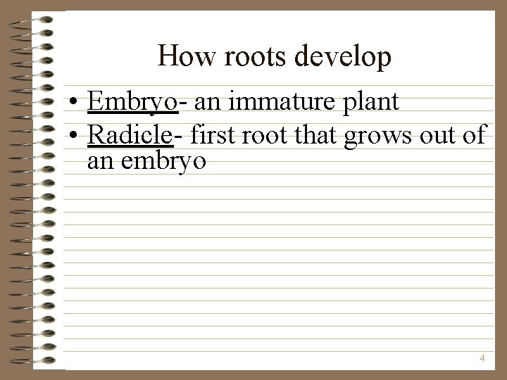 How roots develop • Embryo- an immature plant • Radicle- first root that grows