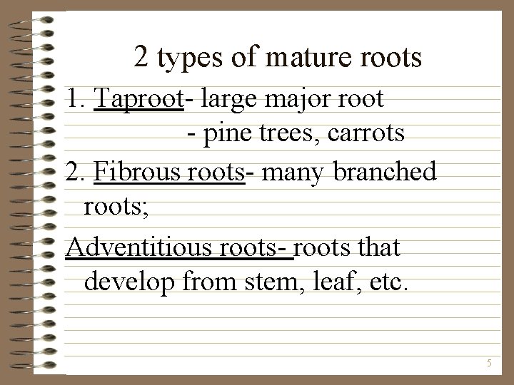 2 types of mature roots 1. Taproot- large major root - pine trees, carrots