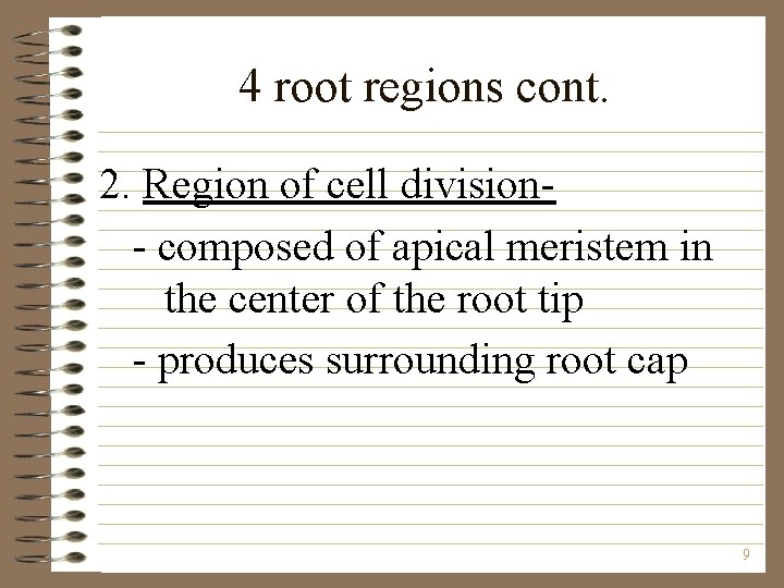 4 root regions cont. 2. Region of cell division- composed of apical meristem in