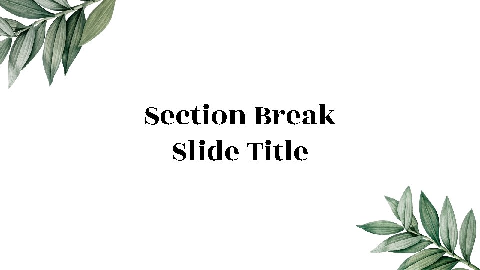 Section Break Slide Title 