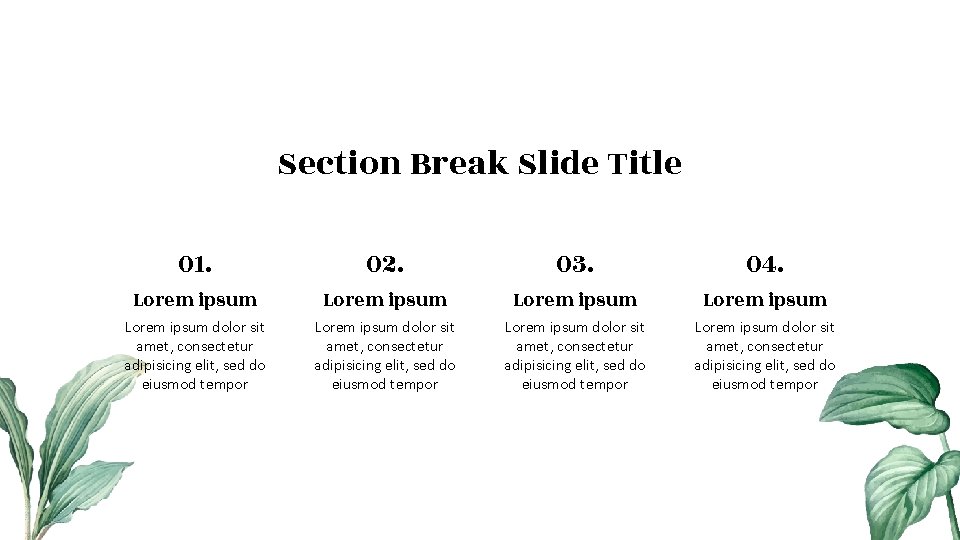 Section Break Slide Title 01. 02. 03. 04. Lorem ipsum Lorem ipsum dolor sit