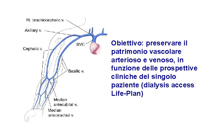 Obiettivo: preservare il patrimonio vascolare arterioso e venoso, in funzione delle prospettive cliniche del