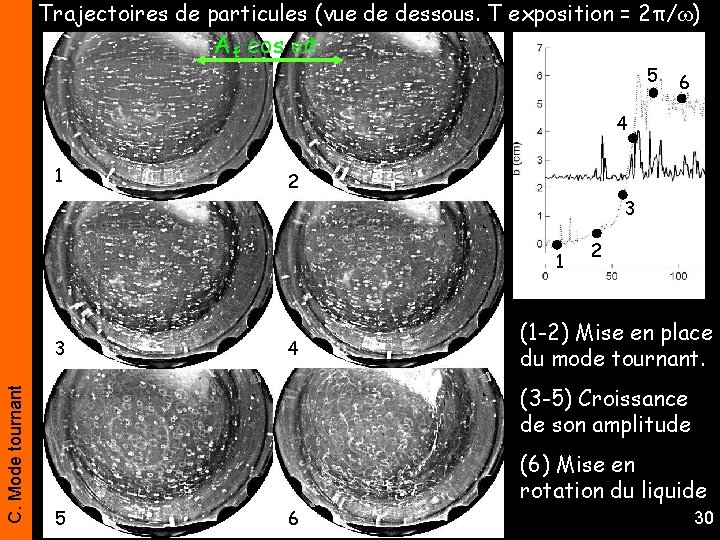 Trajectoires de particules (vue de dessous. T exposition = 2π/ ) Af cos t