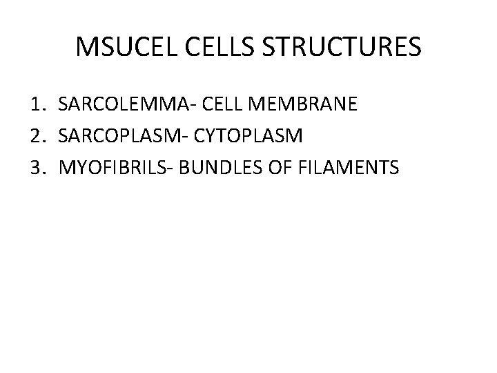 MSUCEL CELLS STRUCTURES 1. SARCOLEMMA- CELL MEMBRANE 2. SARCOPLASM- CYTOPLASM 3. MYOFIBRILS- BUNDLES OF