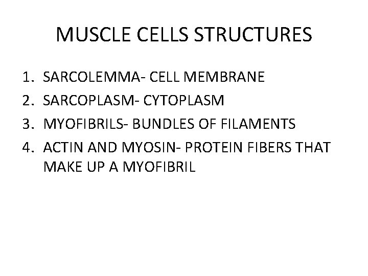 MUSCLE CELLS STRUCTURES 1. 2. 3. 4. SARCOLEMMA- CELL MEMBRANE SARCOPLASM- CYTOPLASM MYOFIBRILS- BUNDLES