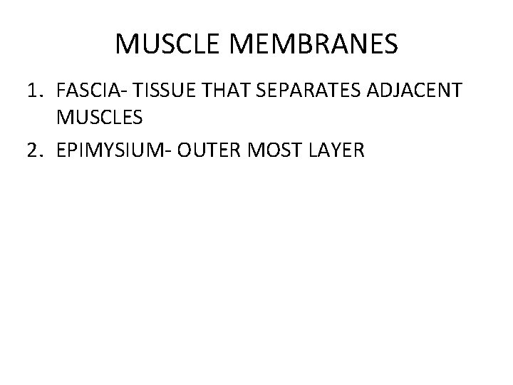 MUSCLE MEMBRANES 1. FASCIA- TISSUE THAT SEPARATES ADJACENT MUSCLES 2. EPIMYSIUM- OUTER MOST LAYER