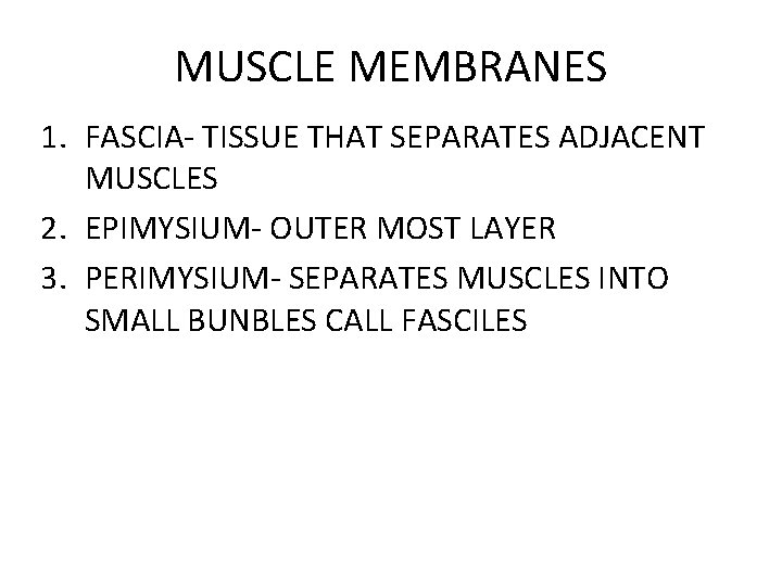 MUSCLE MEMBRANES 1. FASCIA- TISSUE THAT SEPARATES ADJACENT MUSCLES 2. EPIMYSIUM- OUTER MOST LAYER