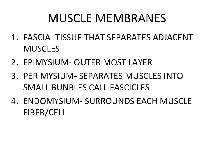 MUSCLE MEMBRANES 1. FASCIA- TISSUE THAT SEPARATES ADJACENT MUSCLES 2. EPIMYSIUM- OUTER MOST LAYER