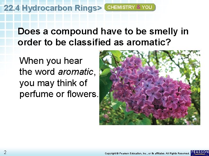 22. 4 Hydrocarbon Rings> CHEMISTRY & YOU Does a compound have to be smelly