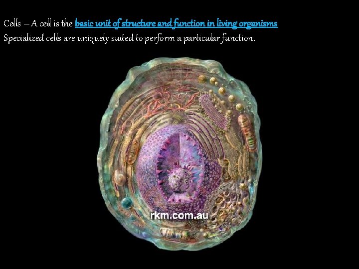 Cells – A cell is the basic unit of structure and function in living