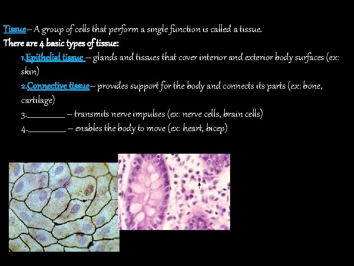 Tissue– A group of cells that perform a single function is called a tissue.