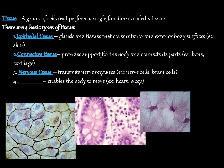 Tissue– A group of cells that perform a single function is called a tissue.