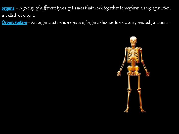 organs – A group of different types of tissues that work together to perform