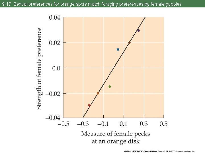 9. 17 Sexual preferences for orange spots match foraging preferences by female guppies 