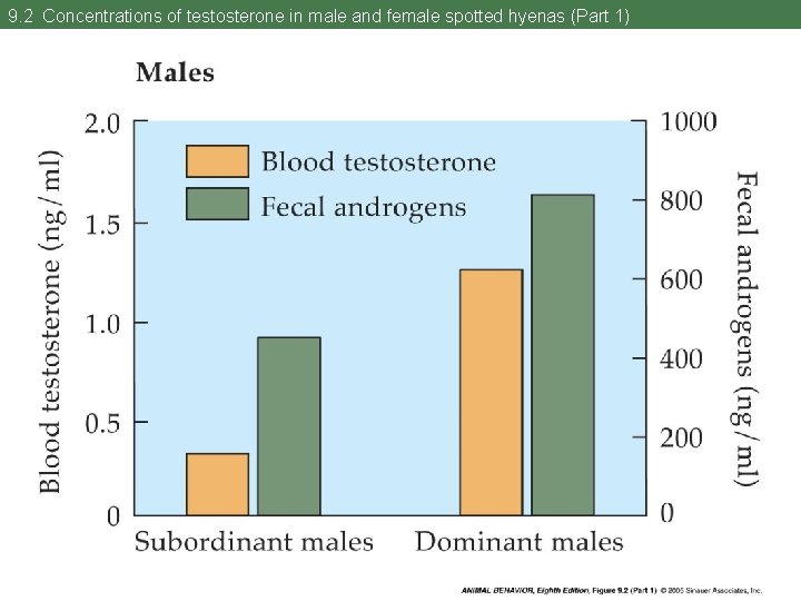 9. 2 Concentrations of testosterone in male and female spotted hyenas (Part 1) 
