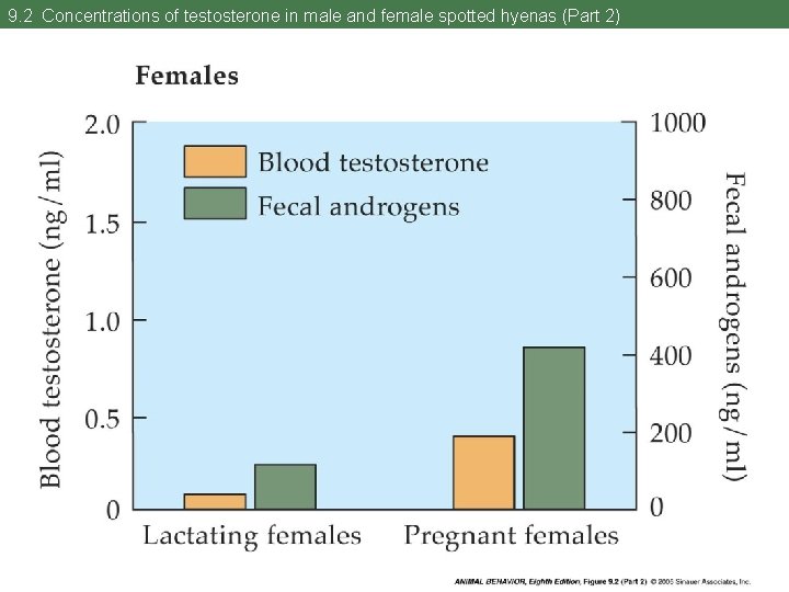 9. 2 Concentrations of testosterone in male and female spotted hyenas (Part 2) 