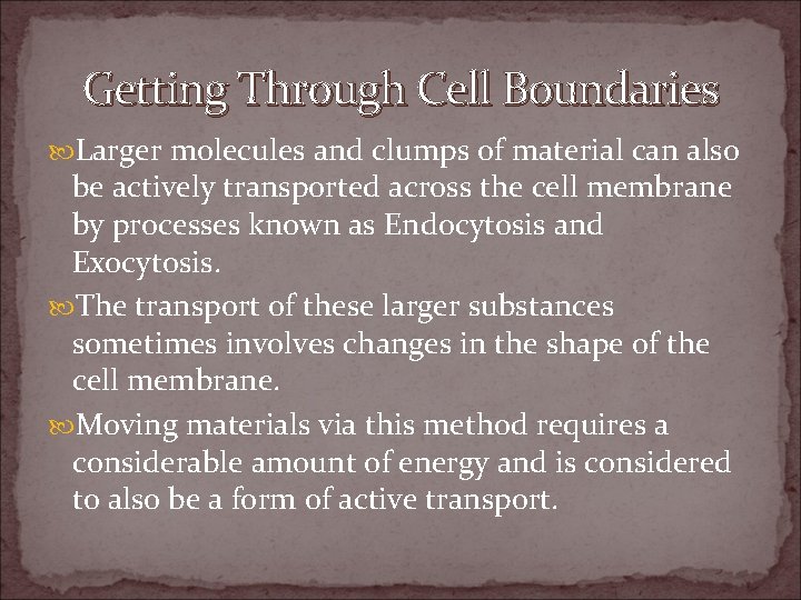 All About Cells Cell Boundaries Part 2 Getting