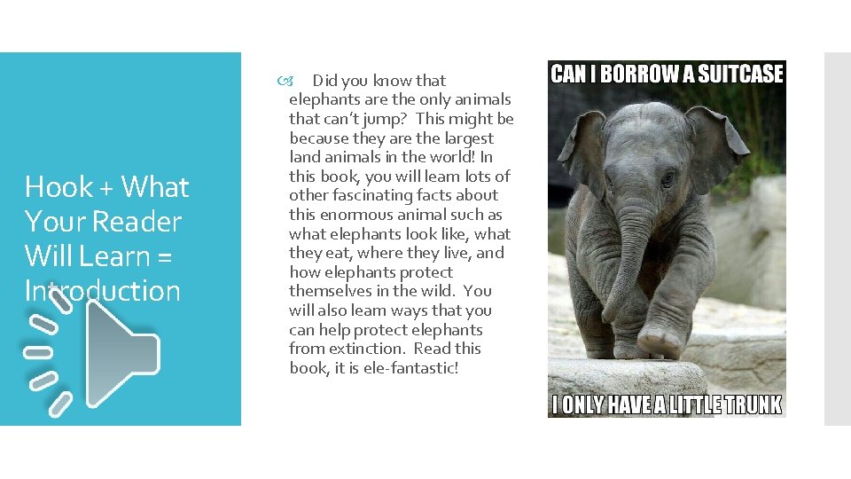 Hook + What Your Reader Will Learn = Introduction Did you know that elephants