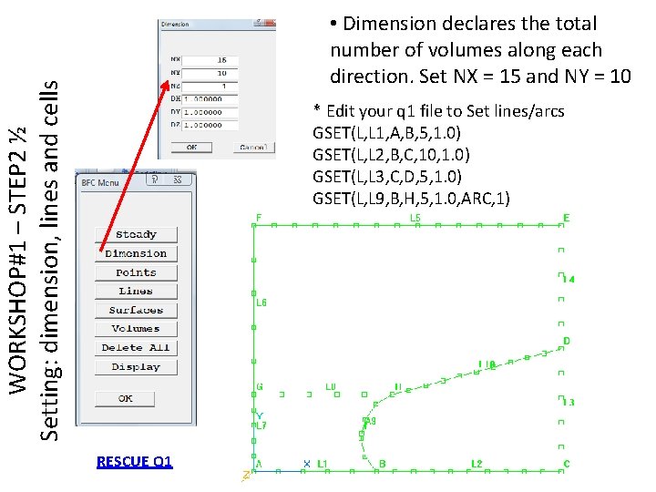 WORKSHOP#1 – STEP 2 ½ Setting: dimension, lines and cells • Dimension declares the