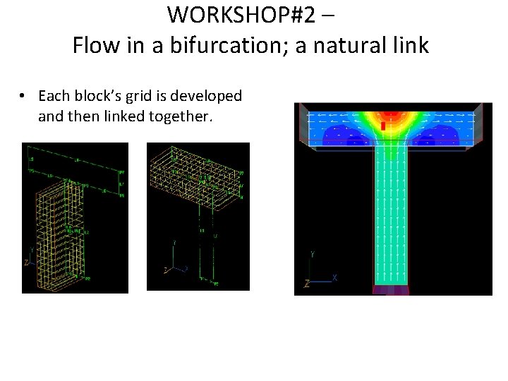 WORKSHOP#2 – Flow in a bifurcation; a natural link • Each block’s grid is