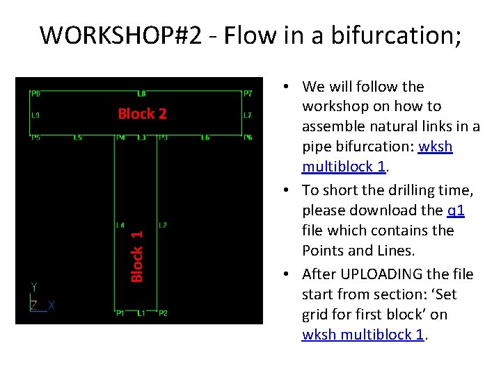 WORKSHOP#2 - Flow in a bifurcation; Block 1 Block 2 • We will follow