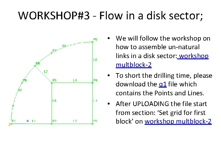 WORKSHOP#3 - Flow in a disk sector; • We will follow the workshop on