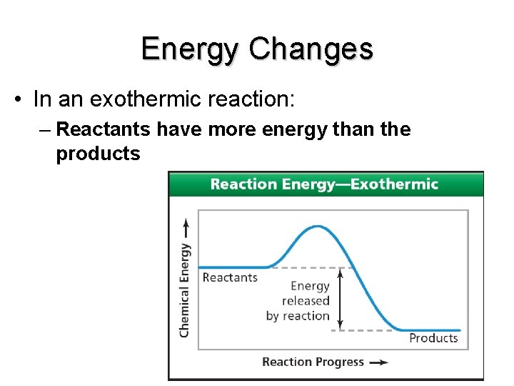 Energy Changes • In an exothermic reaction: – Reactants have more energy than the