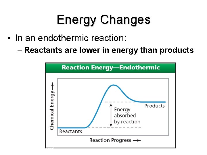 Energy Changes • In an endothermic reaction: – Reactants are lower in energy than