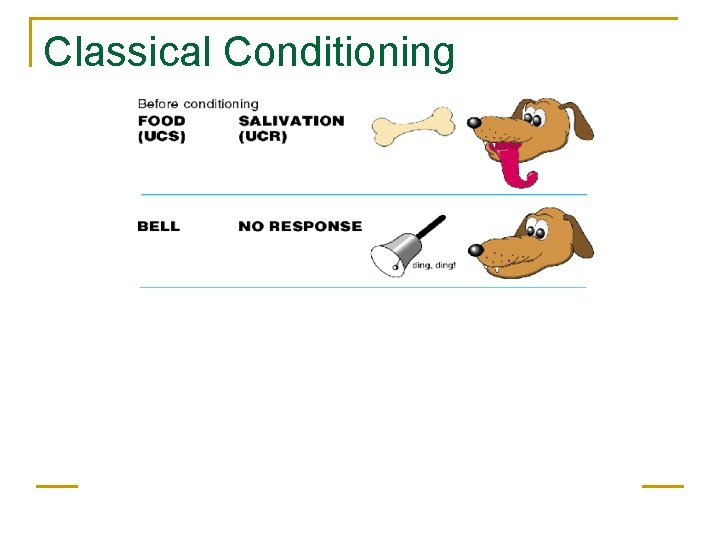 Classical Conditioning  Classical Conditioning