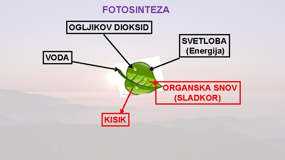 FOTOSINTEZA OGLJIKOV DIOKSID SVETLOBA (Energija) VODA ORGANSKA SNOV (SLADKOR) KISIK 