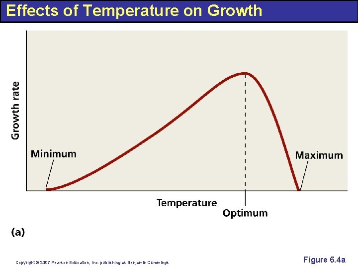 Effects of Temperature on Growth Copyright © 2007 Pearson Education, Inc. publishing as Benjamin