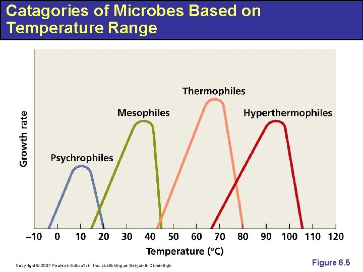 Catagories of Microbes Based on Temperature Range Copyright © 2007 Pearson Education, Inc. publishing