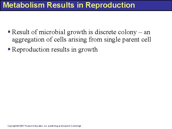 Metabolism Results in Reproduction § Result of microbial growth is discrete colony – an