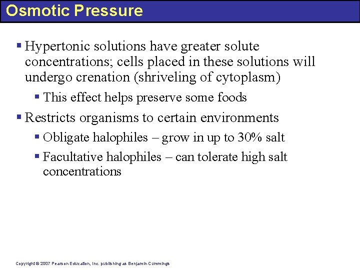 Osmotic Pressure § Hypertonic solutions have greater solute concentrations; cells placed in these solutions