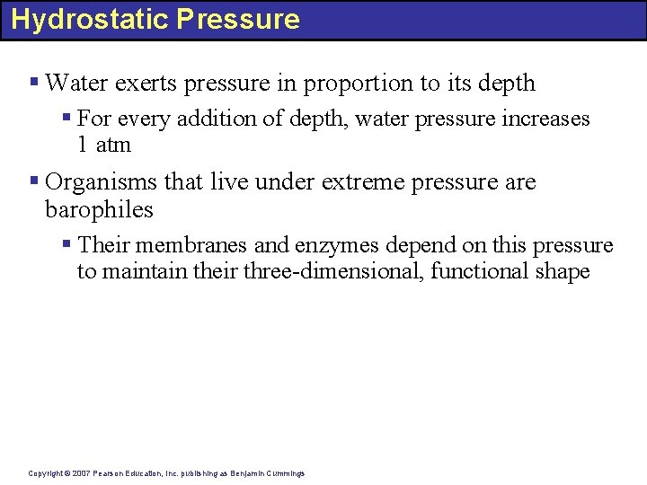 Hydrostatic Pressure § Water exerts pressure in proportion to its depth § For every