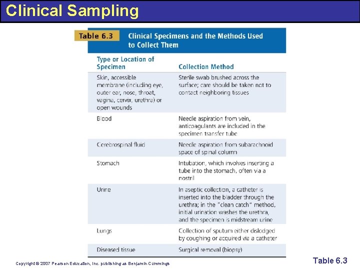 Clinical Sampling Copyright © 2007 Pearson Education, Inc. publishing as Benjamin Cummings Table 6.