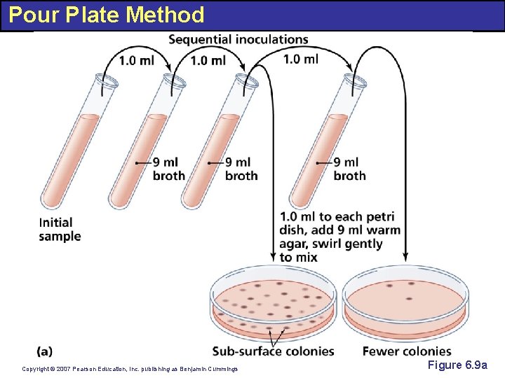 Pour Plate Method Copyright © 2007 Pearson Education, Inc. publishing as Benjamin Cummings Figure