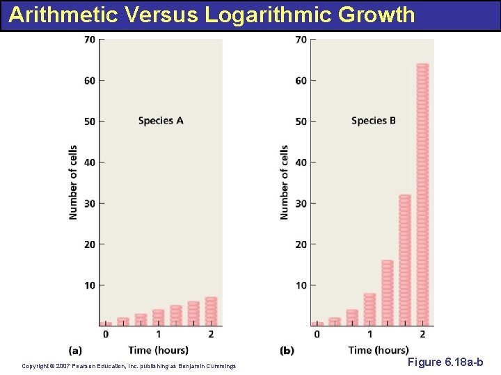 Arithmetic Versus Logarithmic Growth Copyright © 2007 Pearson Education, Inc. publishing as Benjamin Cummings