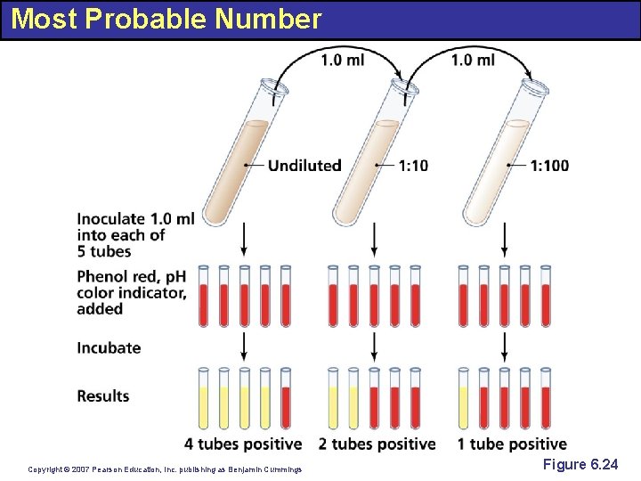 Most Probable Number Copyright © 2007 Pearson Education, Inc. publishing as Benjamin Cummings Figure