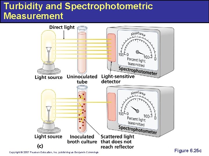 Turbidity and Spectrophotometric Measurement Copyright © 2007 Pearson Education, Inc. publishing as Benjamin Cummings