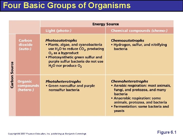 Four Basic Groups of Organisms Copyright © 2007 Pearson Education, Inc. publishing as Benjamin