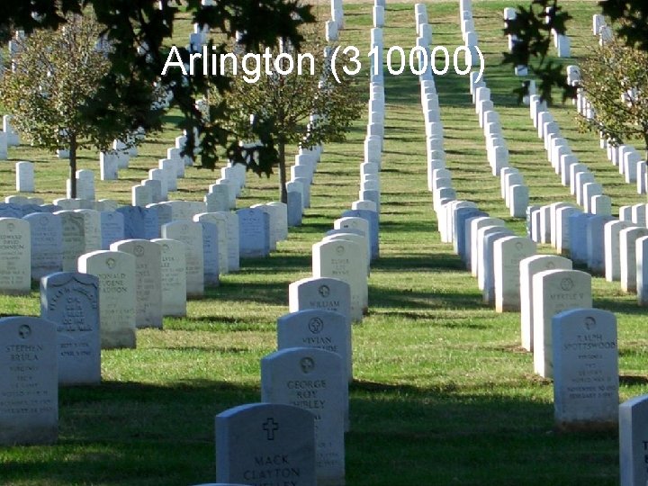 Arlington (310000) 