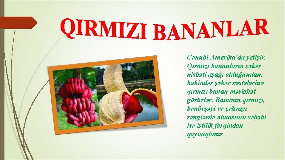 Cənubi Amerika'da yetişir. Qırmızı bananların şəkər nisbəti aşağı olduğundan, həkimlər şəkər xəstələrinə qırmızı banan