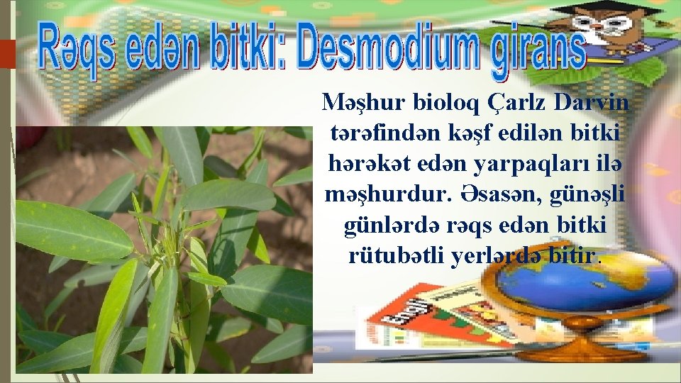 Məşhur bioloq Çarlz Darvin tərəfindən kəşf edilən bitki hərəkət edən yarpaqları ilə məşhurdur. Əsasən,