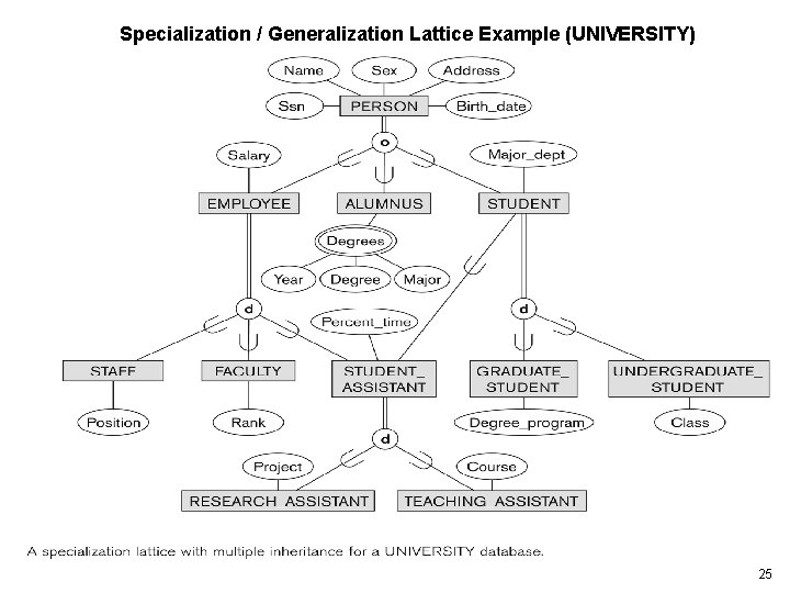 Specialization / Generalization Lattice Example (UNIVERSITY) 25 