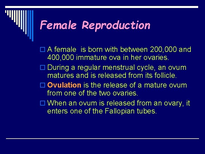 Female Reproduction o A female is born with between 200, 000 and 400, 000