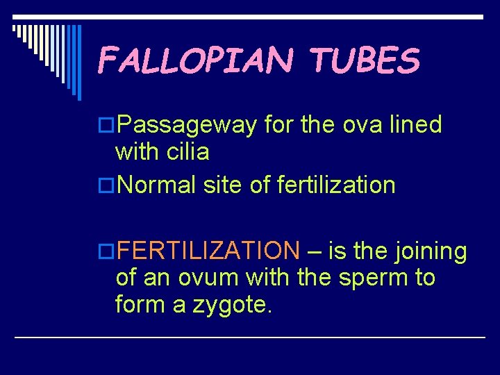 FALLOPIAN TUBES o. Passageway for the ova lined with cilia o. Normal site of