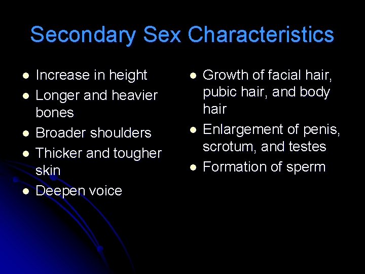 Secondary Sex Characteristics l l l Increase in height Longer and heavier bones Broader