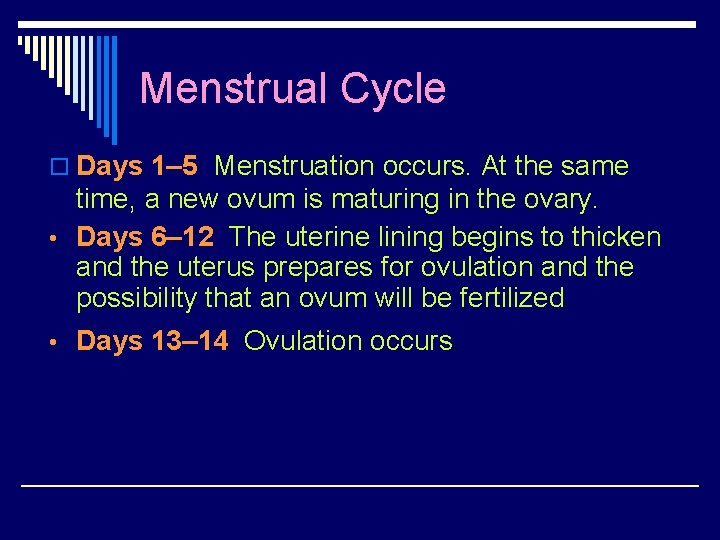 Menstrual Cycle o Days 1– 5 Menstruation occurs. At the same time, a new