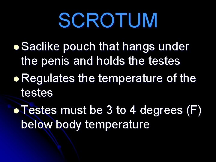 SCROTUM l Saclike pouch that hangs under the penis and holds the testes l